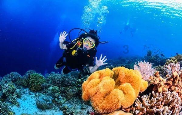 ​展现高质量发展澎湃活力